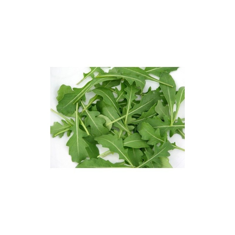 Rúcula (Solamente enviamos en Comunidad de Madrid)