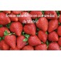 OFERTA Fresón  1 kilo aprox (este producto solamente se envía en Madrid Comunidad)