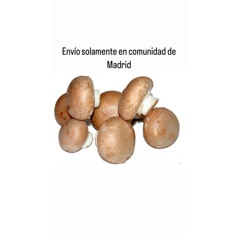 Champiñón Portobello 500g (Solamente envíos en Comunidad de Madrid)