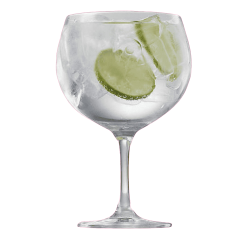 Seagram’s DRY GIN