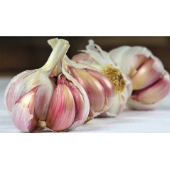 Ajo auténtico de las Pedroñeras 500g