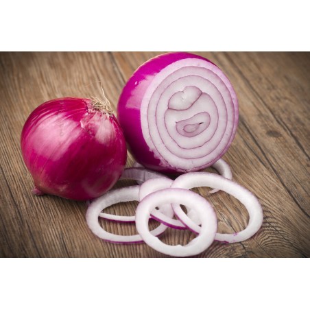 Cebolla Morada unidad