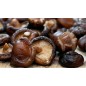 Seta Shiitake Paquete de 500 gramos