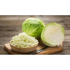 Repollo rizado unidad
