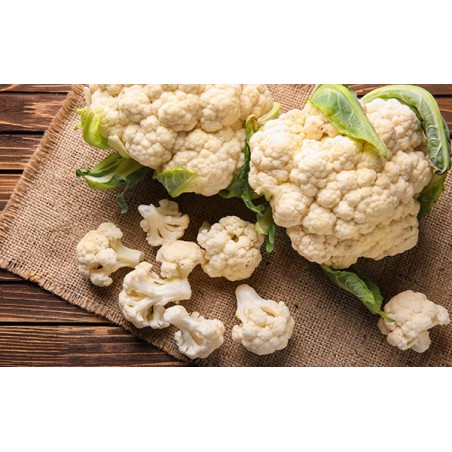 Coliflor del terreno (ud.)