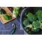 Brócoli unidad (Solamente envíos para Comunidad de Madrid)