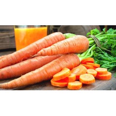 Zanahorias ecológicas 1/2 kilogramo