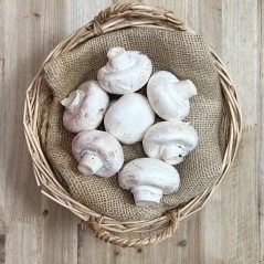 Champiñón Blanco 500 Gr (envíos solamente en comunidad de Madrid)