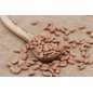 Judía Canela 1 kg