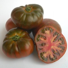 Tomate ibérico pata negra