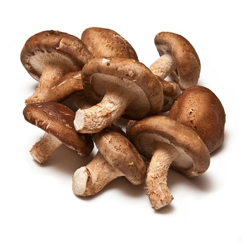 Seta Shiitake Paquete de 500 gramos