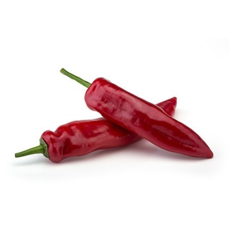 Pimiento rojo Palermo Dulce 500g