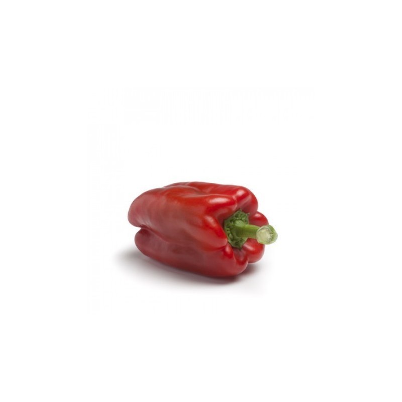 Pimiento rojo Lamuyo pieza