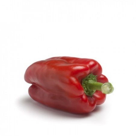 Pimiento rojo Lamuyo pieza