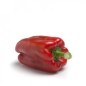 Pimiento rojo Lamuyo pieza
