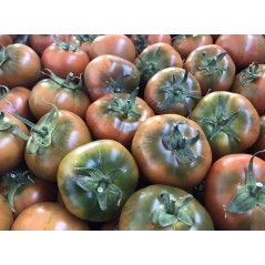 Tomate Rambo especial