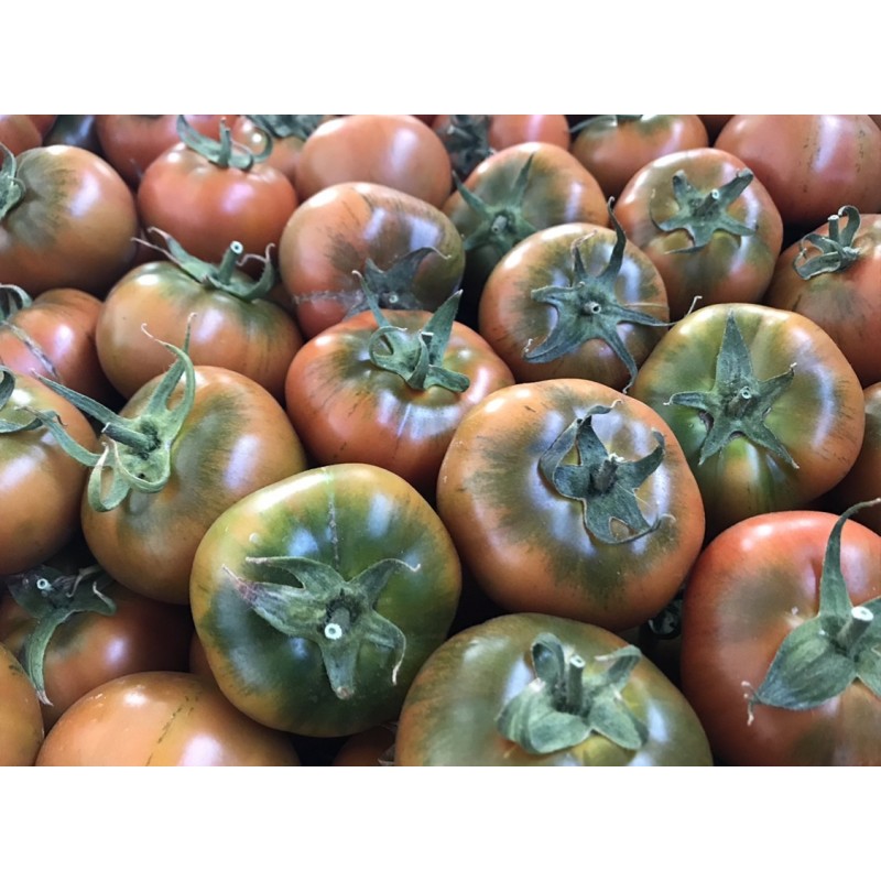 Tomate Rambo especial