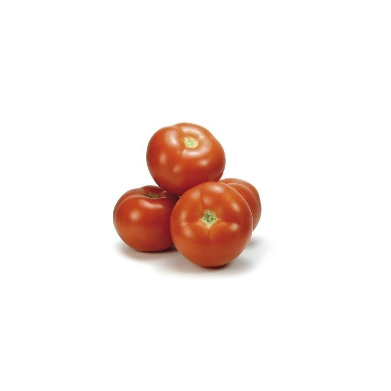 Tomates del Terreno 1 kilogramo