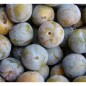 Ciruela Claudia 500g Ciruela Claudia 500g