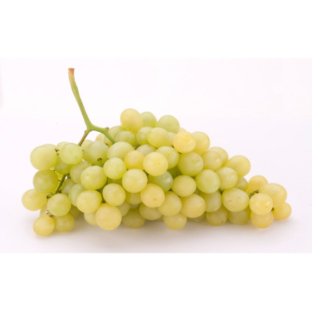 Uva Alicante  1 kilogramo (Solamente para envíos dentro de la Comunidad de Madrid)