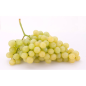 Uva Alicante  1 kilogramo (Solamente para envíos dentro de la Comunidad de Madrid)