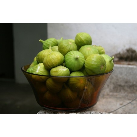 Higos 500g (Solamente enviamos en Comunidad de Madrid)
