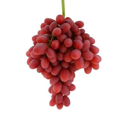 Uva negra sin pepita 600-800g (envíamos solamente en Comunidad de Madrid)