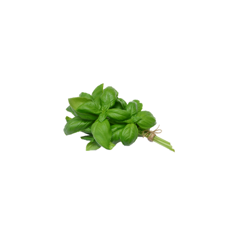 Albahaca manojito (en Verano, solamente enviamos en Comunidad de Madrid)