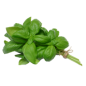 Albahaca manojito (en Verano, solamente enviamos en Comunidad de Madrid)